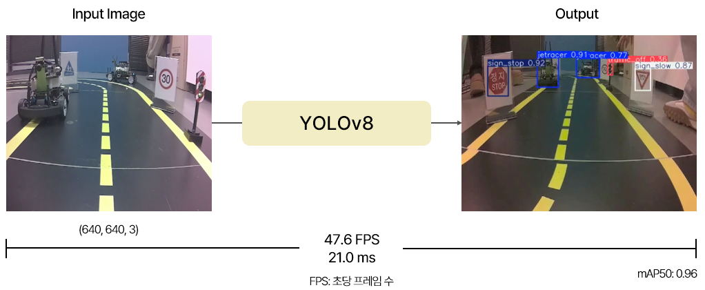 yolov8
